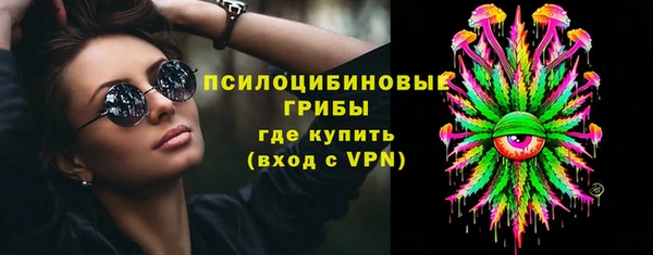 соль ск Елабуга