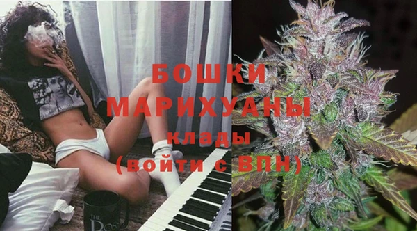 хмурый Дмитровск
