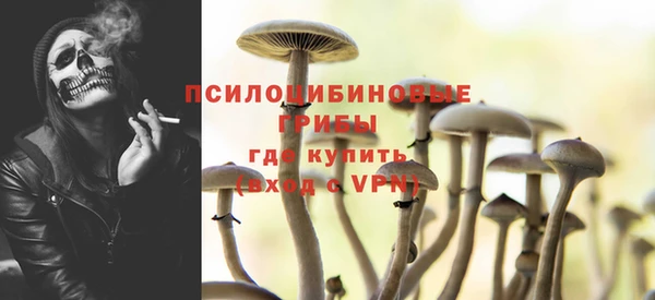 соль ск Елабуга